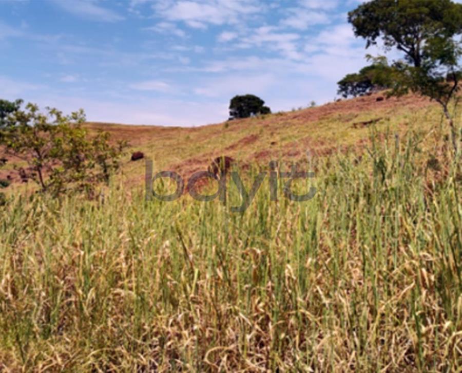 Terreno em leilão em Santa Helena