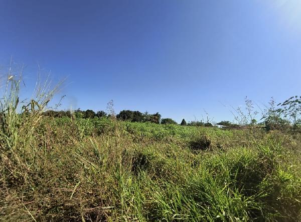 Terreno em leilão em Acailandia