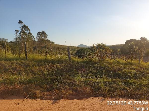 Terreno em leilão em Tangua
