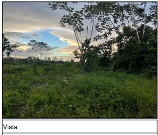 Terreno em leilão em Capitao Poco