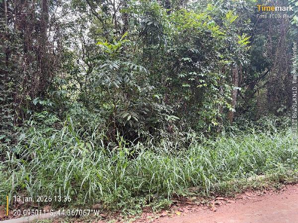 Terreno em leilão em Igarape