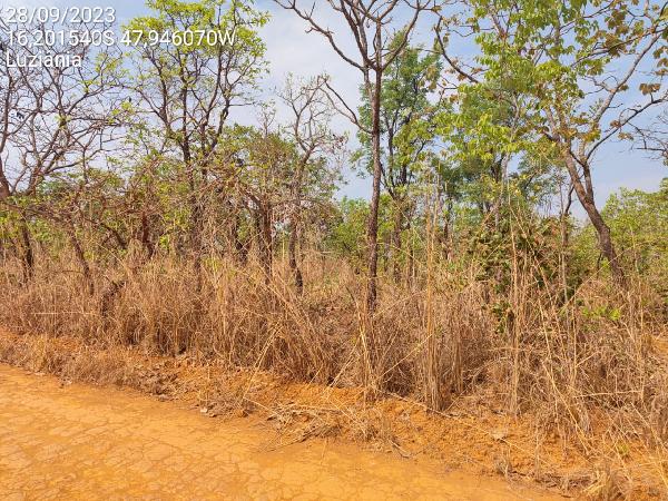 Terreno em leilão em Luziania