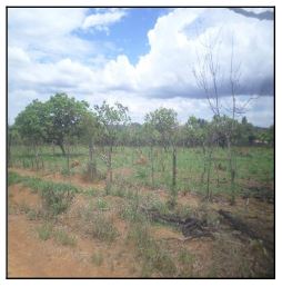 Terreno em leilão em Luziania
