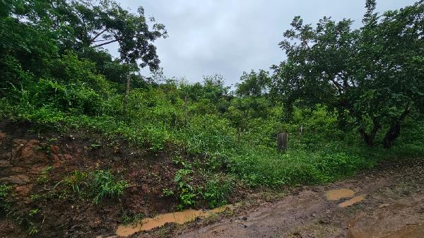 Terreno em leilão em Lagoa Do Carro
