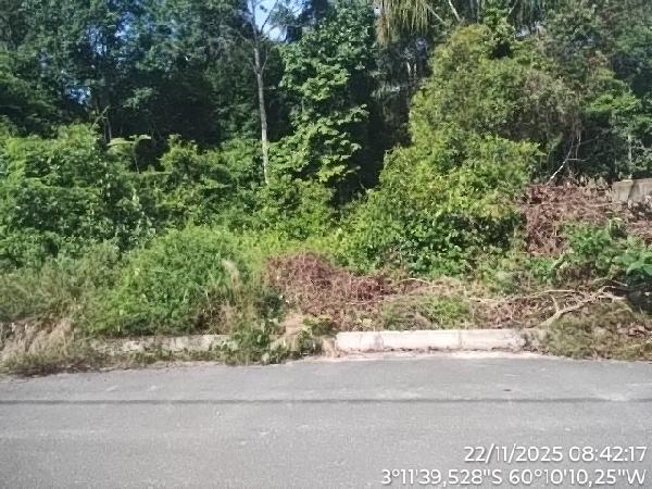 Terreno em leilão em Iranduba