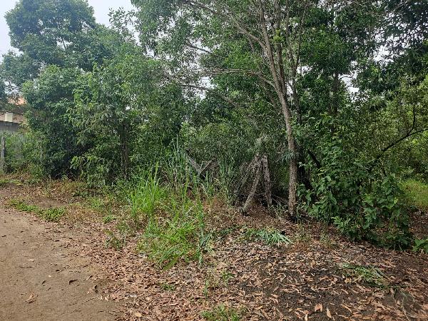 Terreno em leilão em Vila Velha