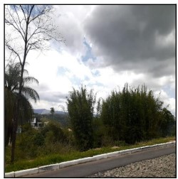 Terreno em leilão em Ibirite