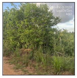 Terreno em leilão em Lagoa Do Carro