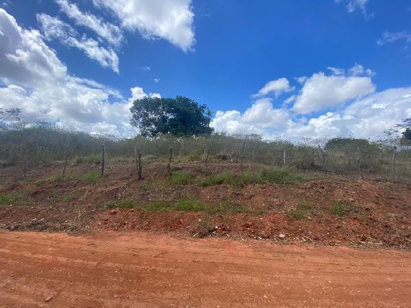 Terreno em leilão em Lagoa Do Carro