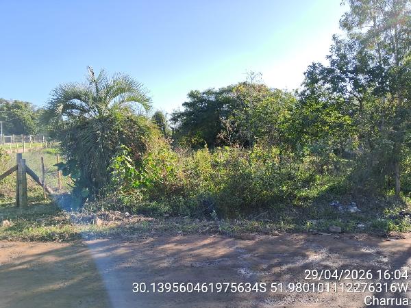 Terreno em leilão em Butia