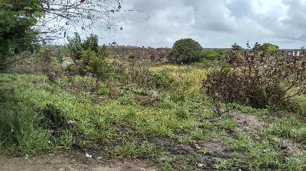 Terreno em leilão em Camacari