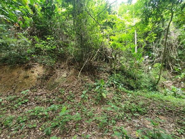 Terreno em leilão em Niteroi