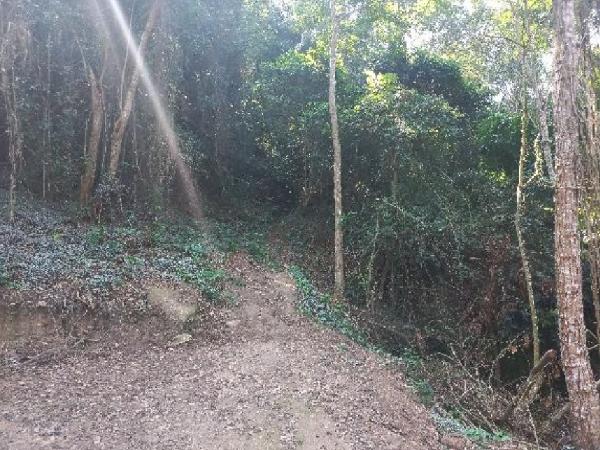 Terreno em leilão em Niteroi