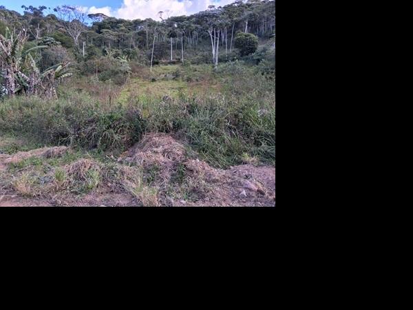 Terreno em leilão em Teresopolis