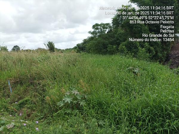 Terreno em leilão em Pelotas
