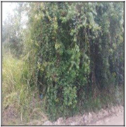 Terreno em leilão em Itaborai