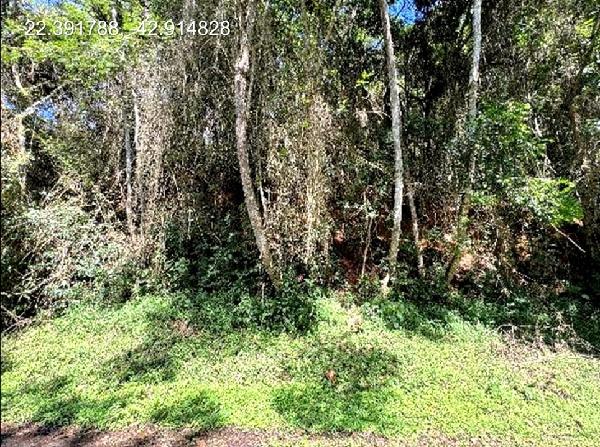 Terreno em leilão em Teresopolis