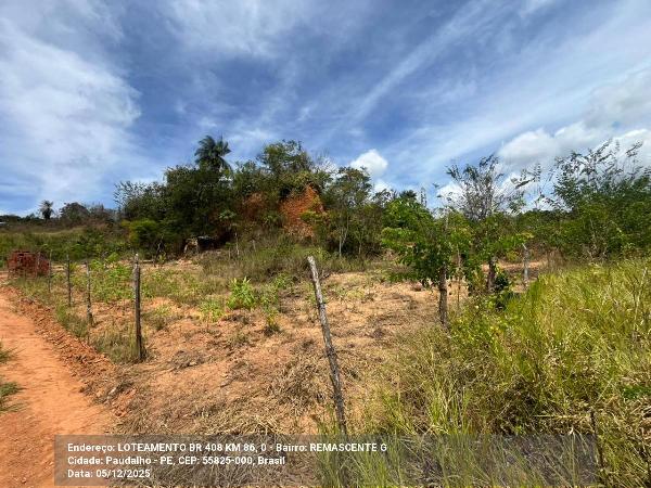 Terreno em leilão em Paudalho