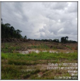 Terreno em leilão em Marituba