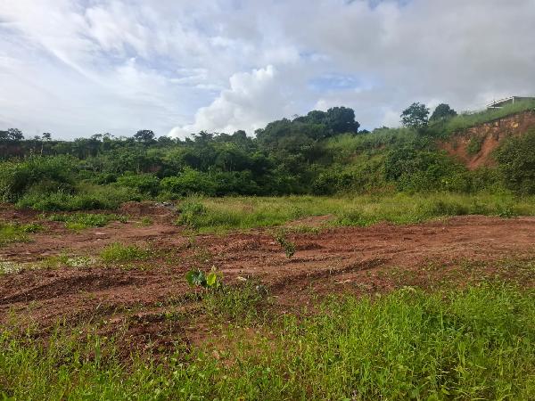 Terreno em leilão em Paudalho