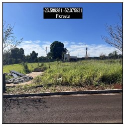 Terreno em leilão em Floresta