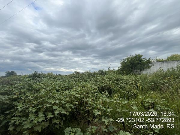 Terreno em leilão em Santa Maria