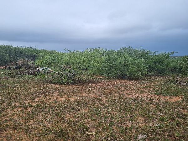 Terreno em leilão em Sao Vicente