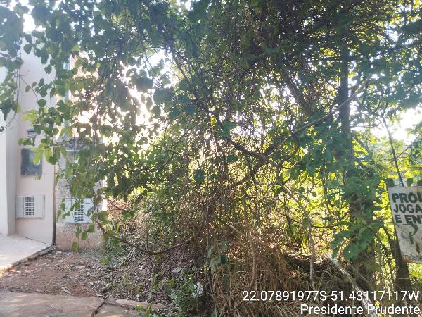 Terreno em leilão em Presidente Prudente